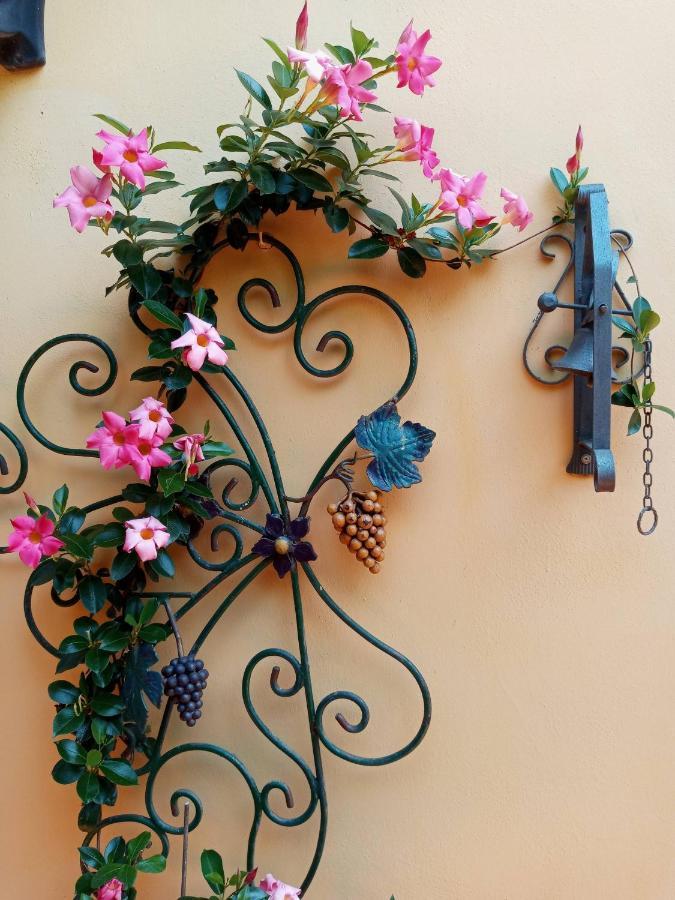 B&B Villa C'Era Una Volta Марина-ди-Масса Экстерьер фото